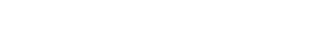 REECHMERRY logo on CERLEAD system hero