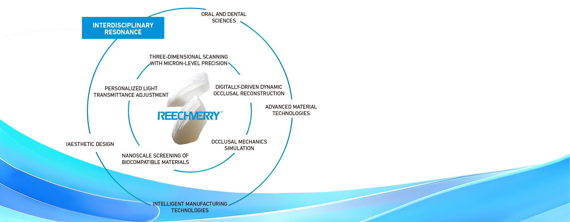 Ideal dental prosthesis diagram — interdisciplinary resonance in restoration design